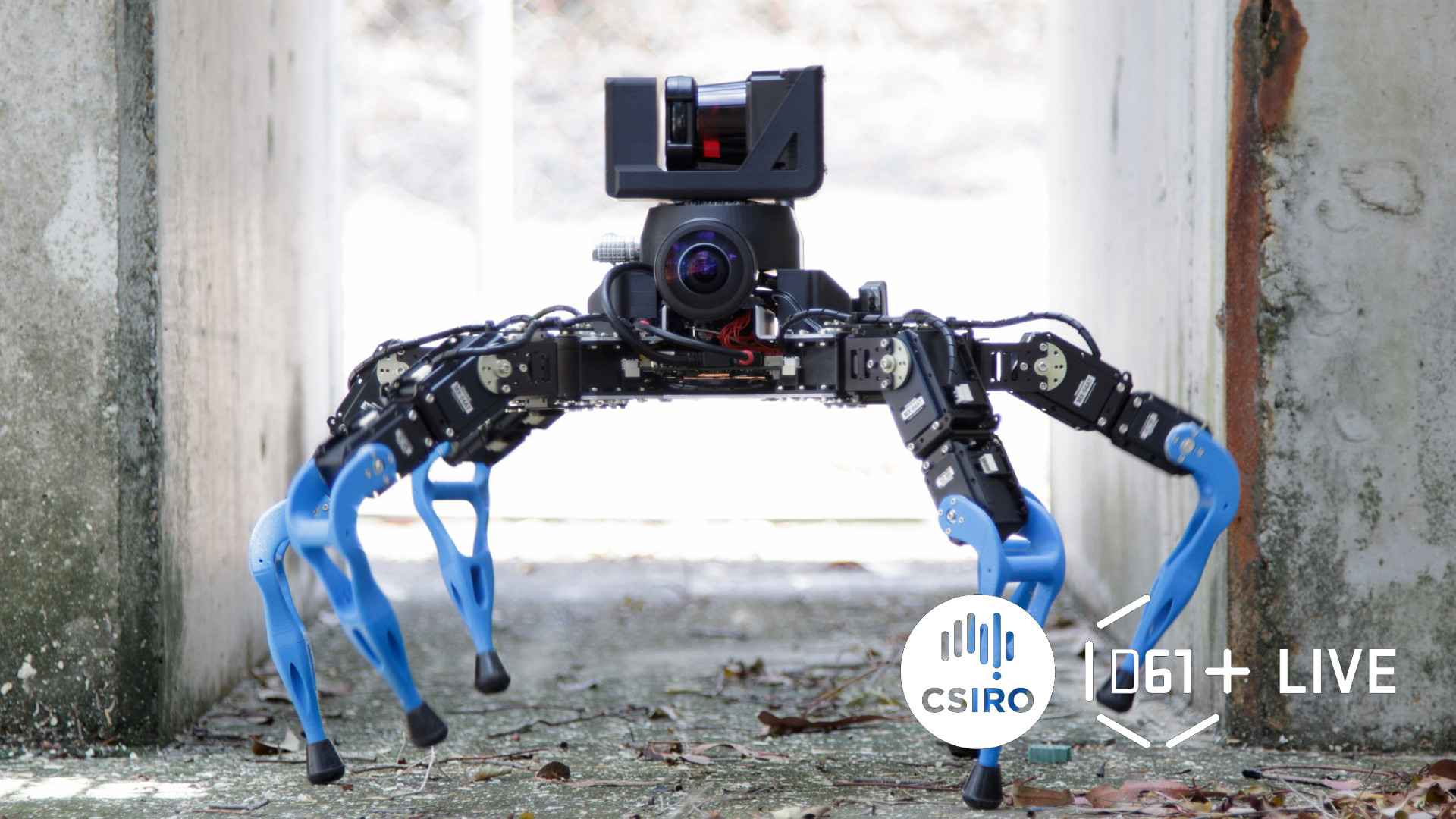 Zee hexapod